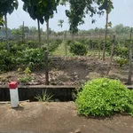 Bán đất mặt tiền 611m² Xã Lộc Phú, Bình Phước, 320 triệu - Ảnh thu nhỏ 1