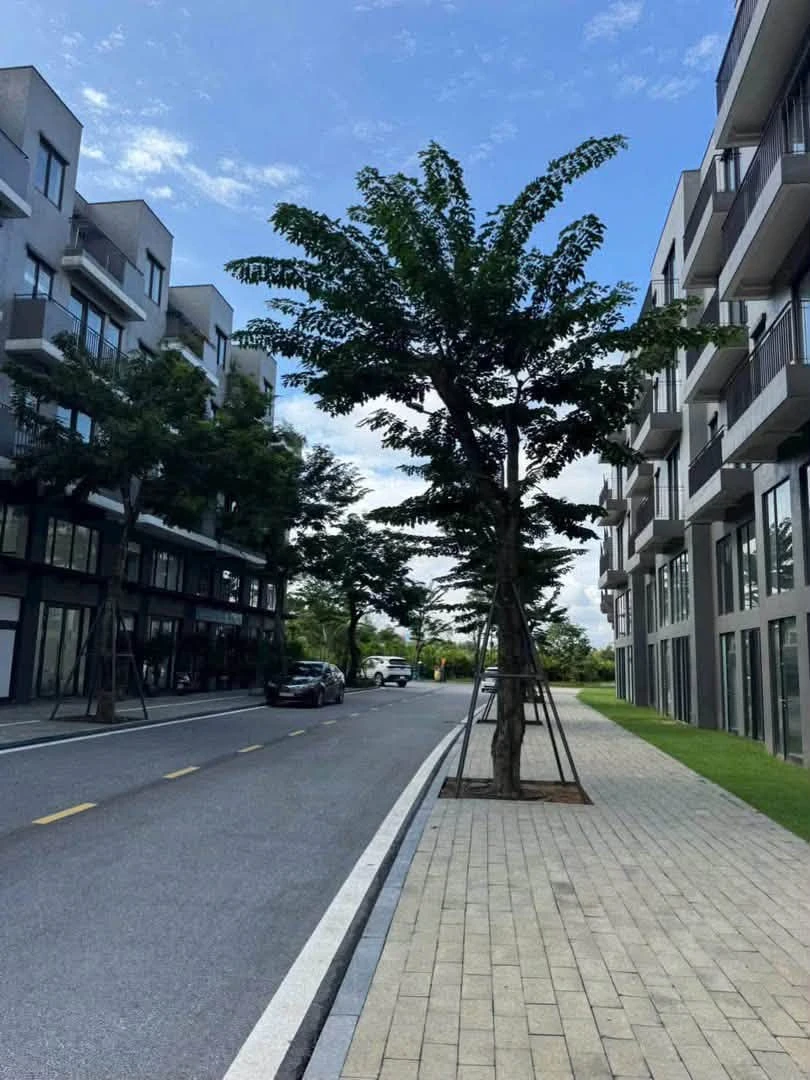Bán nhà phố Đại lộ Hùng Vương 108m2, 6.85 tỷ - Ảnh thu nhỏ 4