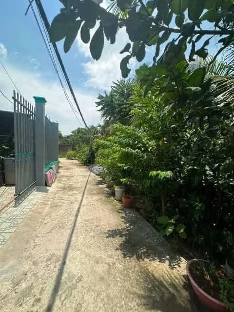 Bán nhà phố Phú Hưng, Bến Tre, 326,8m², 1,9 tỷ - Ảnh thu nhỏ 4