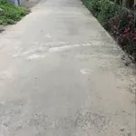Bán đất Phú Túc Châu Thành 1700m2, 970 triệu - Ảnh thu nhỏ 1