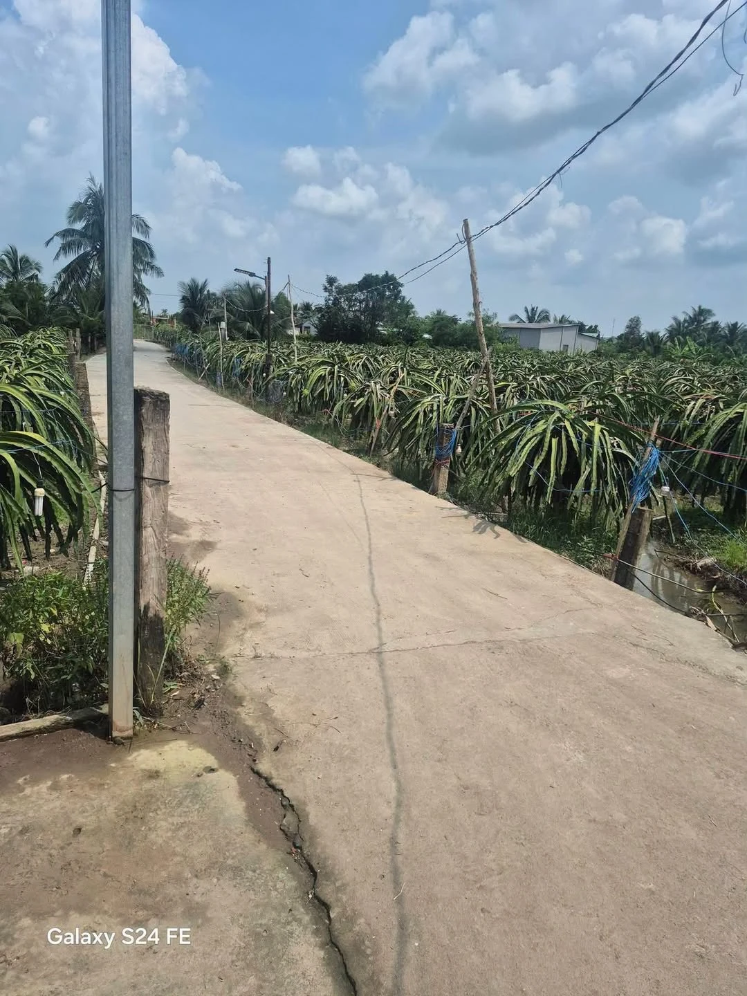 Bán đất 22000m2 (22 mẫu 2) Tri Châu Long An 13 tỷ - Ảnh 1