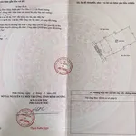 Bán nhà C4 cổ xưa 563m² Phường Chánh Hưởng Bình Chánh - Ảnh thu nhỏ 1