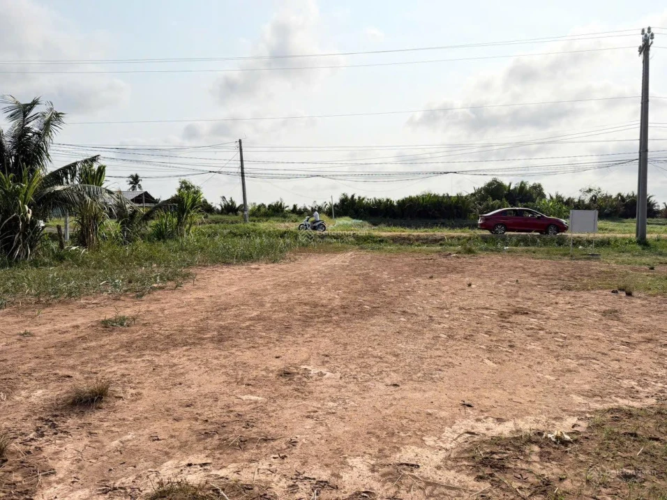 Chính chủ bán gấp 5600m2 đường Tỉnh 881 nhựa 10m, cách Phà Mỹ An 1km,giá 1tr160/m2 - Ảnh thu nhỏ 2