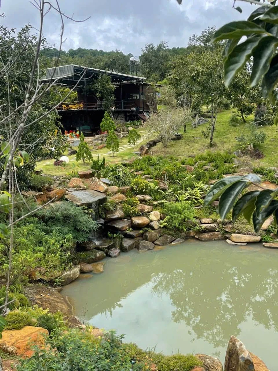 Bán đất 8.000m² sát Khu du lịch Đồi Trà Cầu Đất, Đà Lạt – 20 tỷ - Ảnh thu nhỏ 4