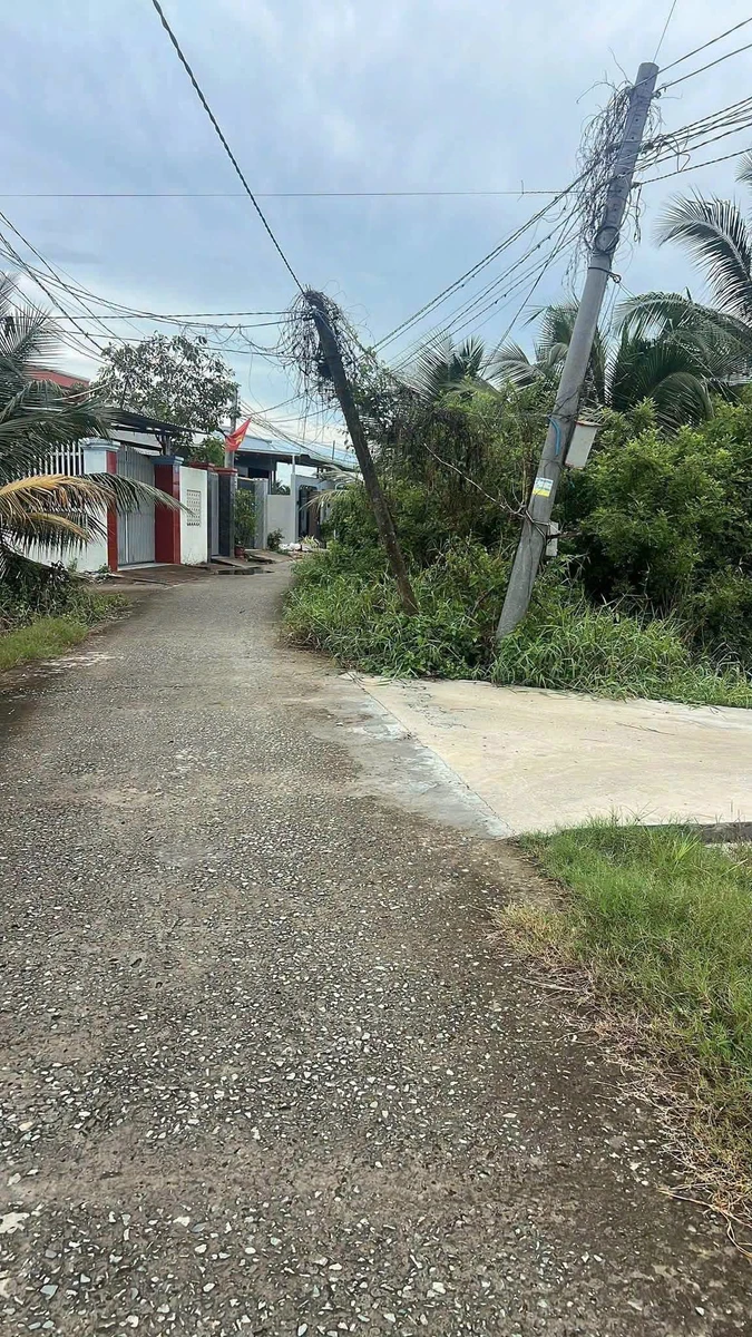 Bán 3 lô đất thổ cư 125m² Hòa Phú, Long An 430 triệu/lô - Ảnh 1