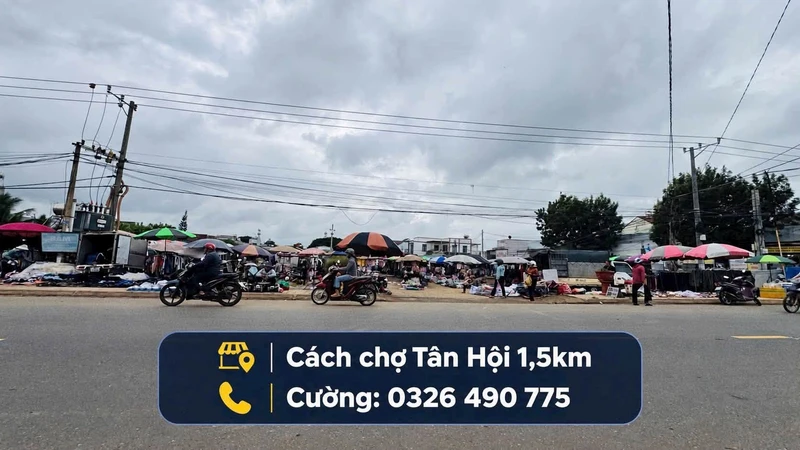 Bán đất nền Tân Hội Lâm Đồng 87m2 giá 699 triệu