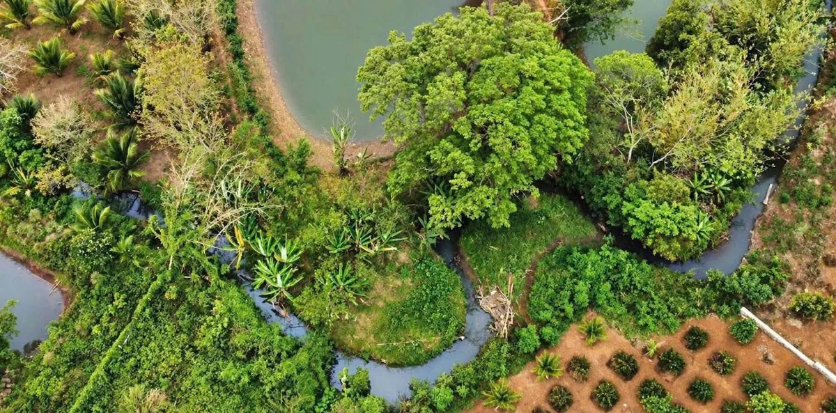 Bán đất vườn sinh thái Ea Kao 3.866m² giá 8 tỷ - Ảnh thu nhỏ 3