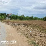 Bán đất 1.000 m² quy hoạch thổ cư, Kim Bình, Phan Thiết - Ảnh thu nhỏ 2
