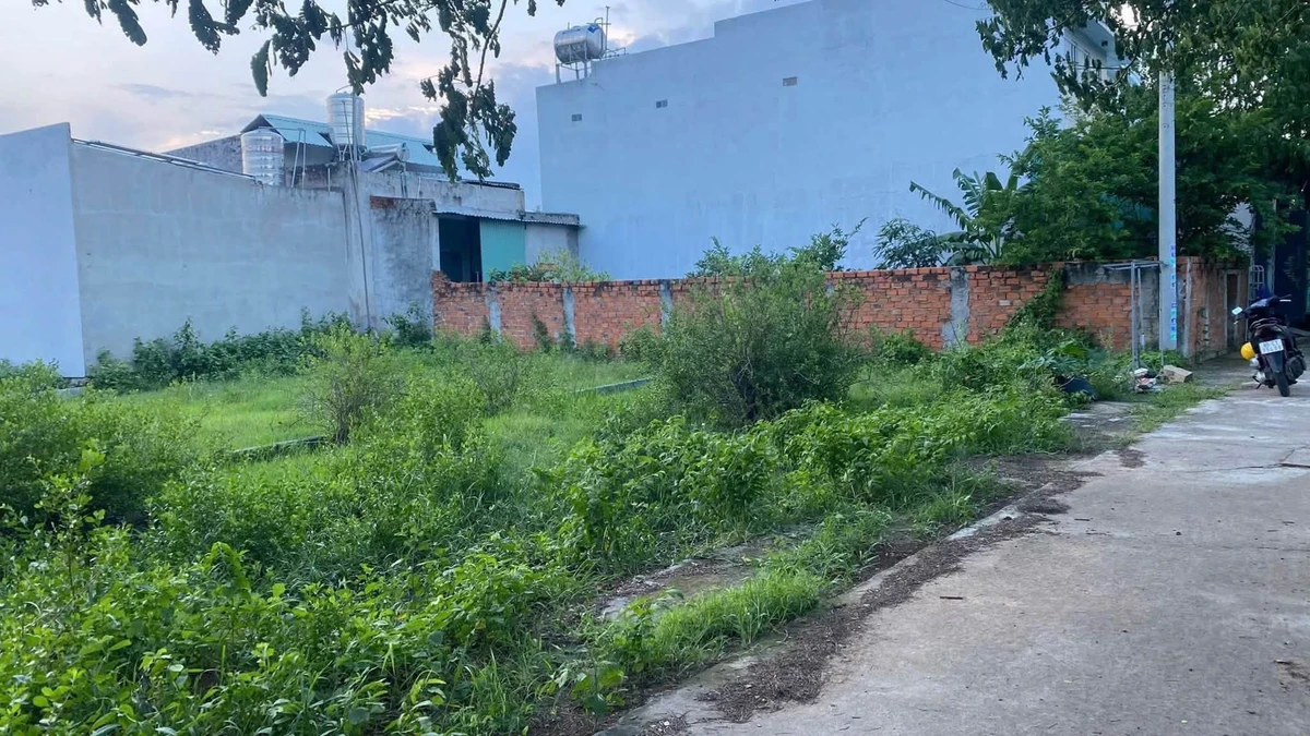 Bán đất thổ cư 107m² Phường Bình Thuận Phan Thiết - Ảnh thu nhỏ 3