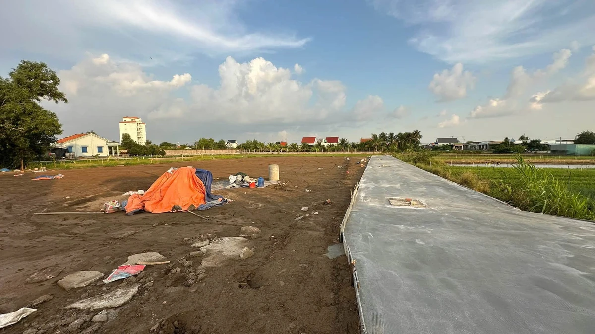 Bán đất 5x30m sổ hồng riêng, đường xe hơi, gần chợ Phước Vân, Cần Đước, Long An - Ảnh thu nhỏ 4