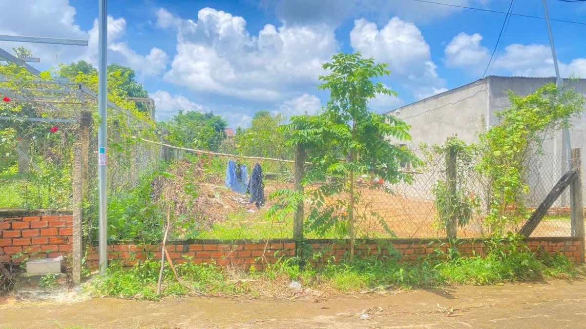 Bán lô đất 5x46m, thổ cư 50m2 tại Ea Kao, Đắk Lắk - 595 triệu - Ảnh thu nhỏ 3