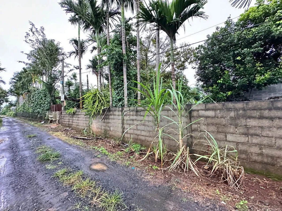 Bán đất mặt tiền 500m2 Tân An Nhà Bè 2 tỷ 200 triệu - Ảnh thu nhỏ 2