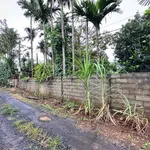 Bán đất mặt tiền 500m2 Tân An Nhà Bè 2 tỷ 200 triệu - Ảnh thu nhỏ 2