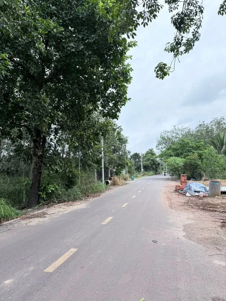 Bán đất Vĩnh Tân Nhựa Thông 60m2, 1.7 tỷ - Ảnh thu nhỏ 4
