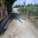 Bán lô đất thổ cư 5x31m chính chủ tại thị trấn Tầm Vu, Châu Thành, Long An giá 600 triệu - Ảnh thu nhỏ 1