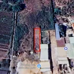 Bán đất mặt tiền đường TL830, xã Lương Hoà, tỉnh Tây Ninh - Ảnh thu nhỏ 4