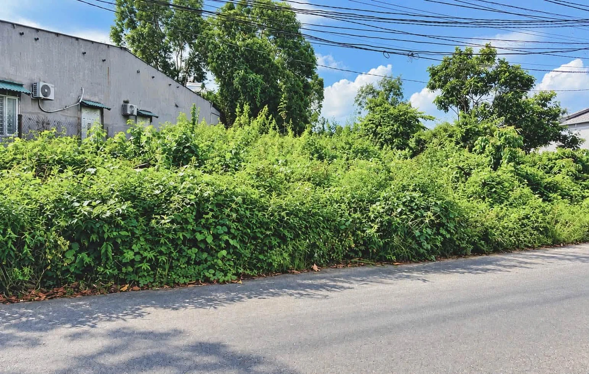 Bán lô đất view núi Thị Vải 187m² Phú Mỹ, Bình Dương - Ảnh thu nhỏ 3