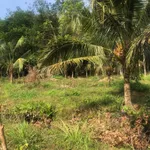 Bán 5ha đất nhà vườn Đồng Xoài, có suối, sinh thái - Ảnh thu nhỏ 5