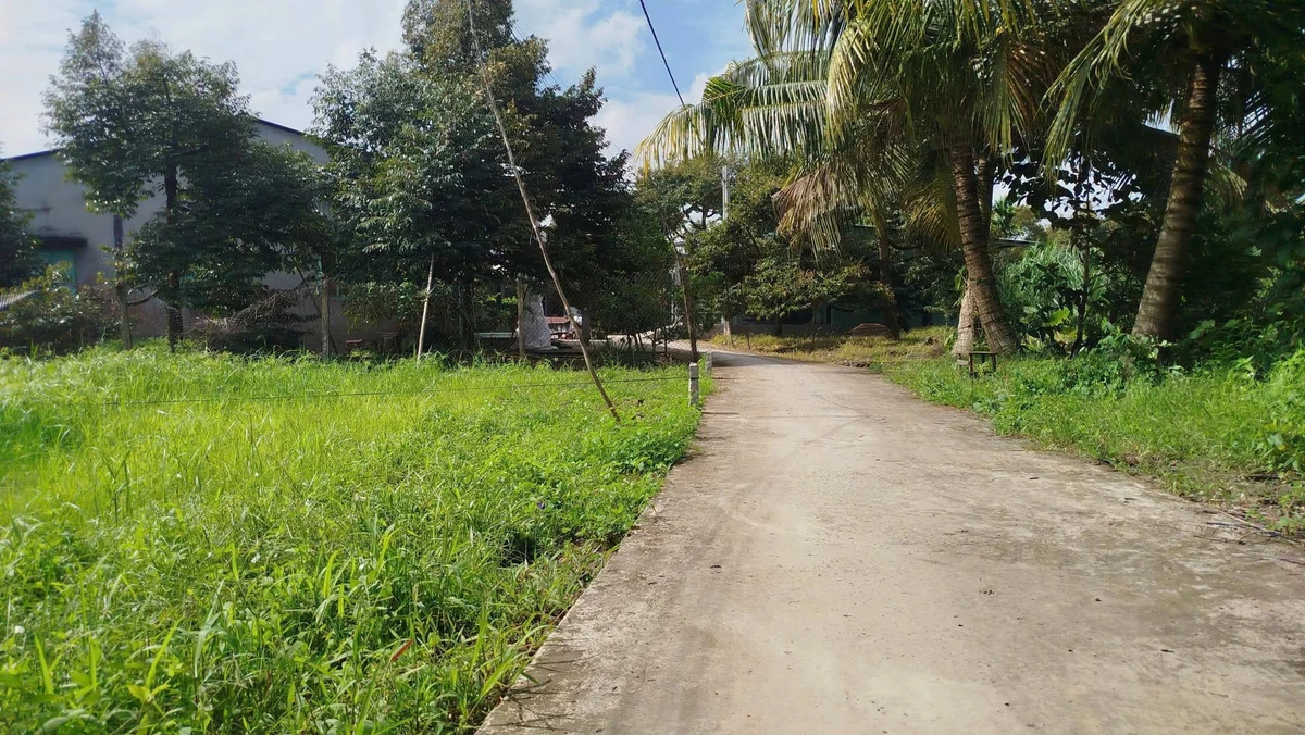 Bán đất nền Phong Điền 81m² giá 350 triệu - Ảnh thu nhỏ 2