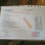 Bán đất 772 ấp Hưng Hòa Đông, 12 tỷ VND, 5200 m2, giá siêu hời - Ảnh thu nhỏ 5