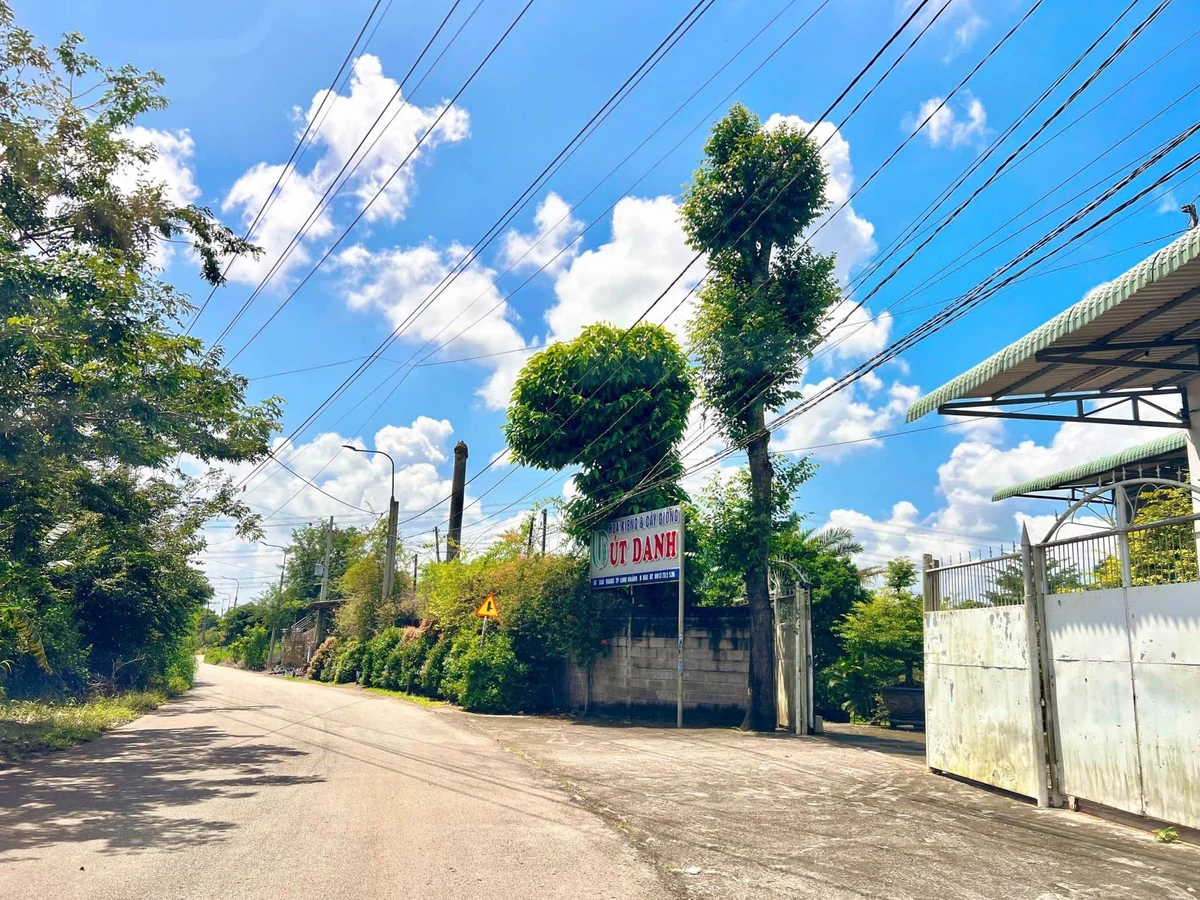 Bán vườn trái cây 500m2 giá 699 triệu tại Phường Bảo Vinh - Ảnh thu nhỏ 3