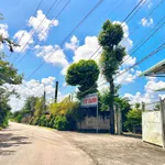 Bán vườn trái cây 500m2 giá 699 triệu tại Phường Bảo Vinh - Ảnh thu nhỏ 3