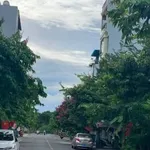 Bán đất ngõ phố Lê Lai, Đà Nẵng, 54 m² - Ảnh thu nhỏ 1