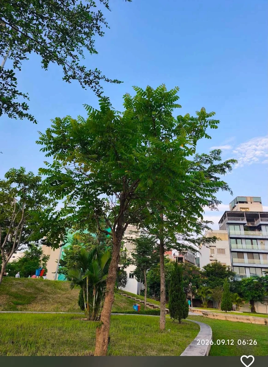 Bán đất 100m² hai mặt tiền Ngọc Thụy Gia Lâm 29,99 tỷ - Ảnh 1