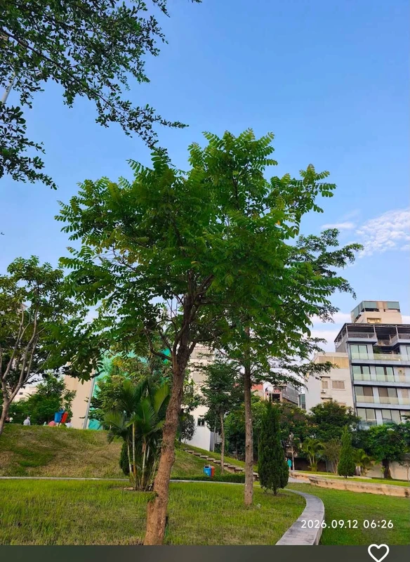 Bán đất 100m² hai mặt tiền Ngọc Thụy Gia Lâm 29,99 tỷ