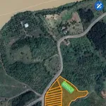 Bán đất 7000m² mặt tiền bê tông, 250 triệu/lô, Đắk Lắk - Ảnh thu nhỏ 2