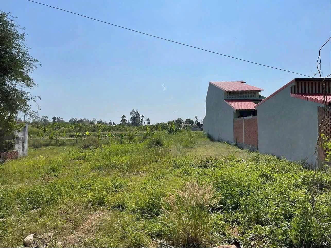 Bán đất mặt tiền 1815m2 Lấp Vò, Đồng Tháp, 4 tỷ