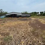 Bán khu vườn gần 1ha Sông Ray Cẩm Mỹ Đồng Nai - Ảnh thu nhỏ 2