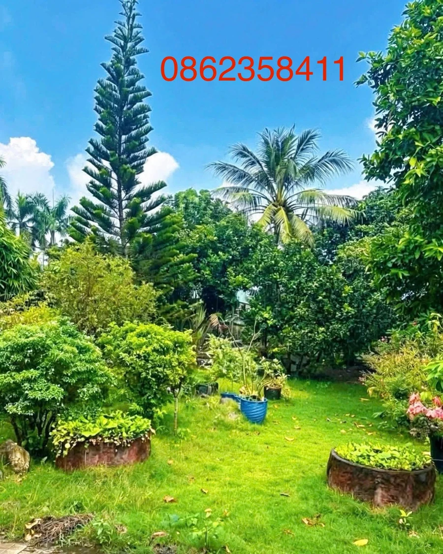 Biệt thự hoàn công 1.982m² Tân Thông Hội, Củ Chi 16 tỷ - Ảnh thu nhỏ 4