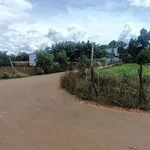 Bán đất 5x25m gần trường Tiểu Học Bông Lai, xã Hiệp Thạnh, Đức Trọng, Lâm Đồng - Ảnh thu nhỏ 2