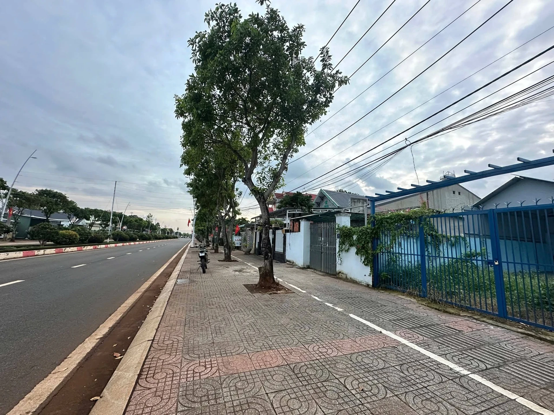 Bán đất 195m2 mặt tiền Trần Hưng Đạo, Nhà Bè - Ảnh 1