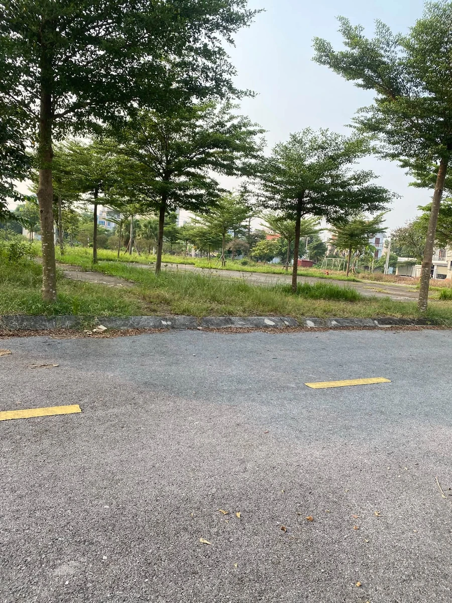 Bán đất nền 160m2 ở Chu Văn An, Hải Phòng giá 3 tỷ - Ảnh thu nhỏ 4