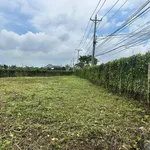 Bán đất mặt tiền Hương Lộ 7, Tân Triều, Đồng Nai, 287,5m², giá 1,55 tỷ - Ảnh thu nhỏ 1