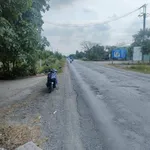 Bán đất vườn mặt tiền QL N2 Thạnh Lợi 271m2, 2 tỷ - Ảnh thu nhỏ 2