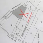 Bán đất xây nhà vườn 980m² tại Tân An, Long An - Ảnh thu nhỏ 3