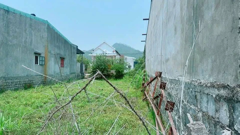 Bán lô đất Tuy Phước Bình Dương 120m² 390 triệu