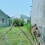 Bán lô đất Tuy Phước Bình Dương 120m² 390 triệu - Ảnh thu nhỏ 1