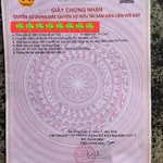 Bán 2 lô đất liền kề 108-111m2 Trần Đình Tri, Tân Bình - Ảnh thu nhỏ 4