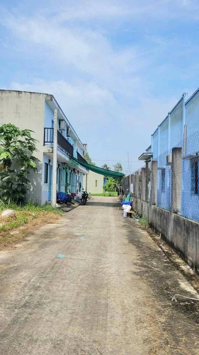 Bán đất thổ cư 100m² Cần Dước Long An 950 triệu - Ảnh thu nhỏ 2