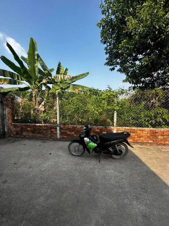 Bán đất Bình Mỹ 100m2 giá 2 tỷ - Ảnh thu nhỏ 3