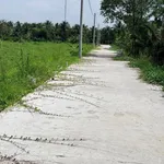 Bán 5 nền đất Rạch Ông Dựa 150m² Nhà Bè - Ảnh thu nhỏ 2