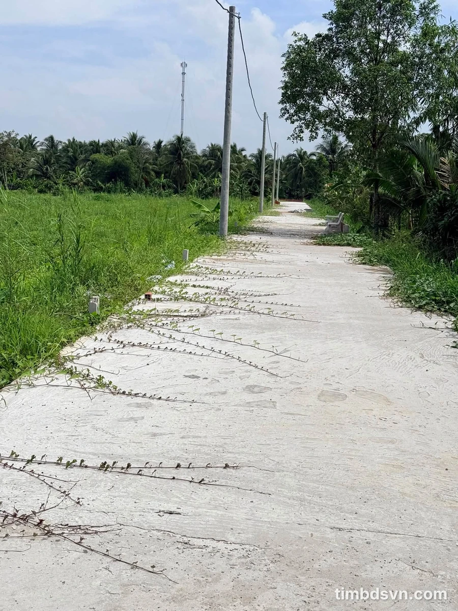 Bán 5 nền đất Rạch Ông Dựa 150m² Nhà Bè - Ảnh thu nhỏ 2
