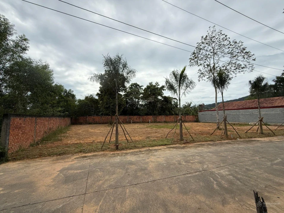 Bán đất 110m2 có thổ cư mặt đường khu Tượng, gần đường lớn. Giá chỉ 1,6 tỷ - Ảnh 1