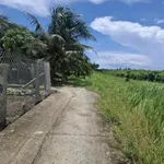 Bán đất 1000m² Lợi Bình Nhơn, Tân An, Long An - Ảnh thu nhỏ 2