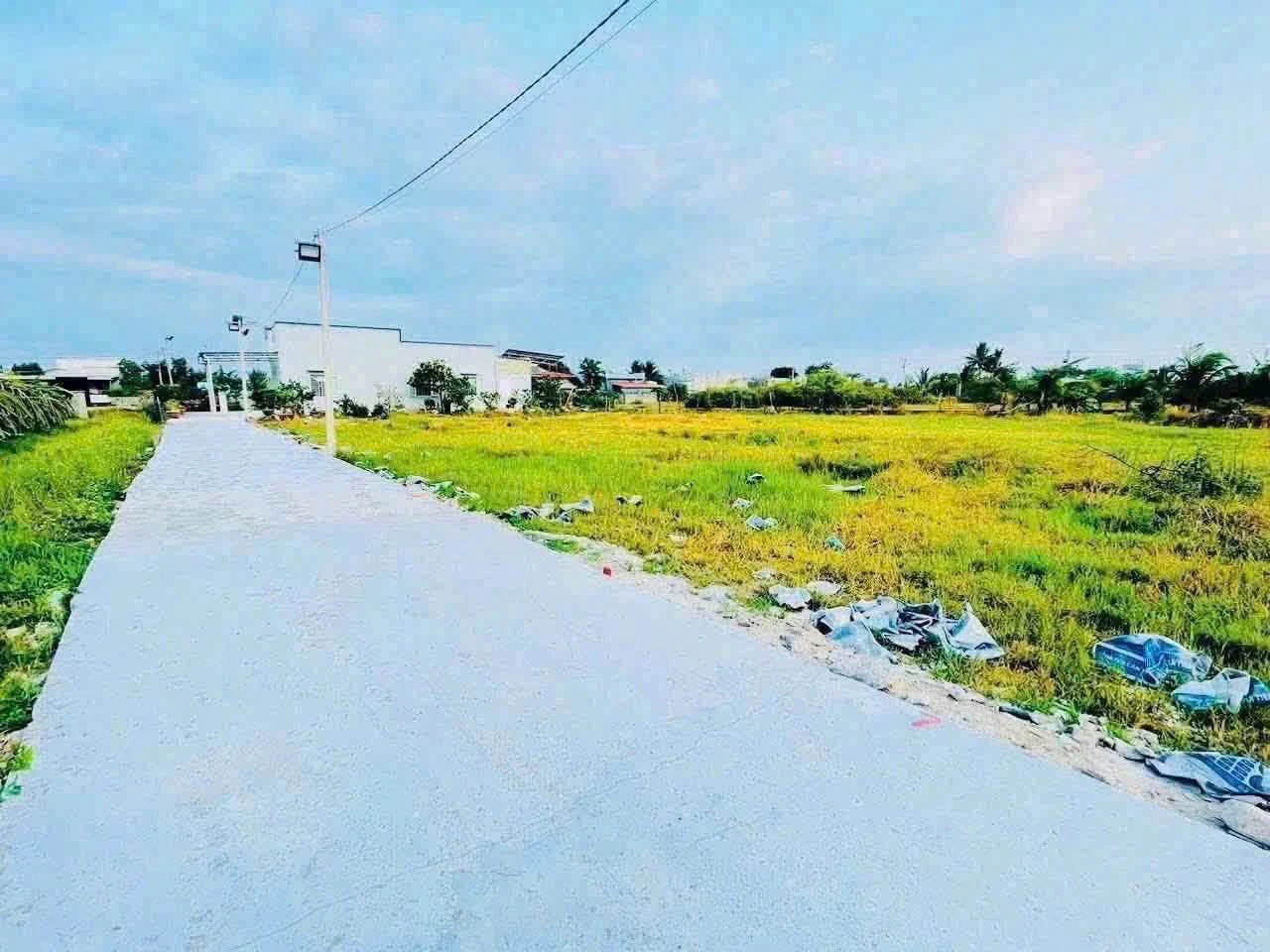 Bán đất nền 230m2 Phong Nẫm, mặt tiền 17m, 530 triệu - Ảnh 1