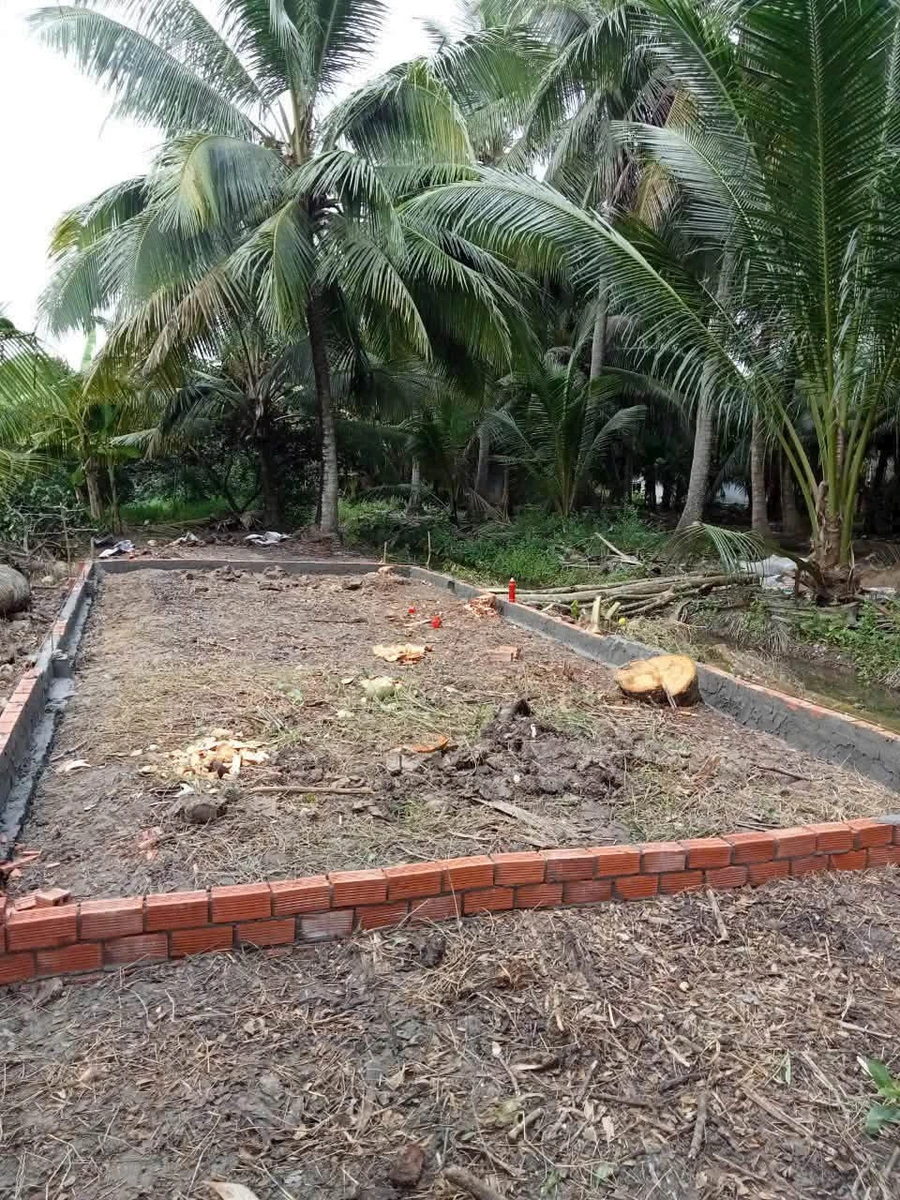 Bán đất thổ vườn 1434m2 SHR Nhơn Mỹ, Cần Thơ - Ảnh thu nhỏ 4